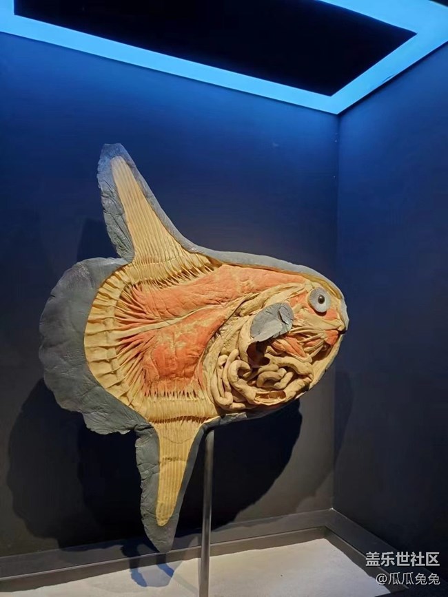 {探索生命奥秘}沉醉在知识的海洋里