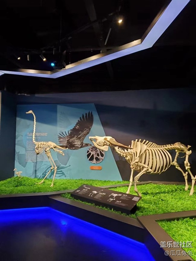 {探索生命奥秘}沉醉在知识的海洋里