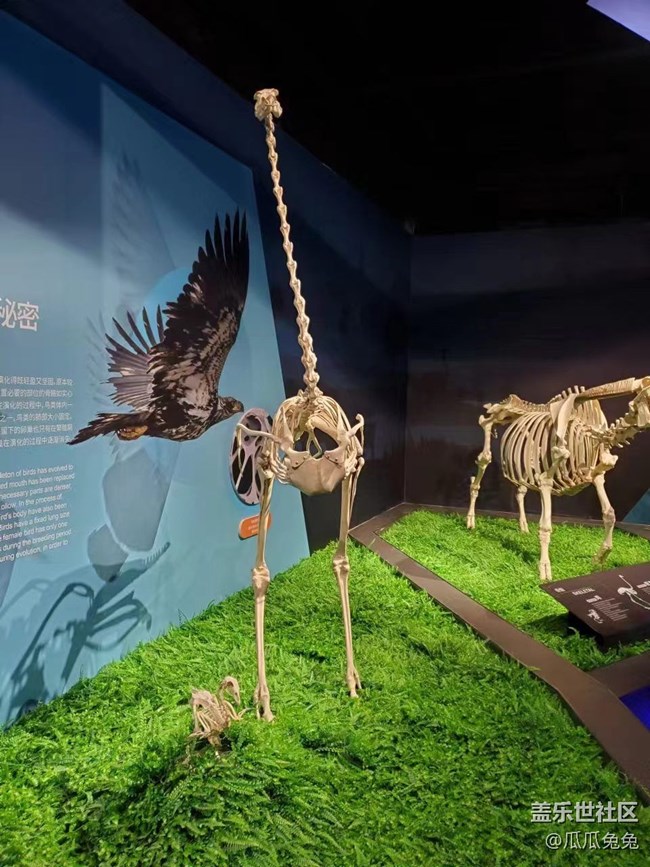 {探索生命奥秘}沉醉在知识的海洋里