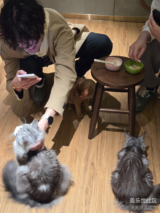 【三星真好拍】武汉星部落四月摄影活动总结帖