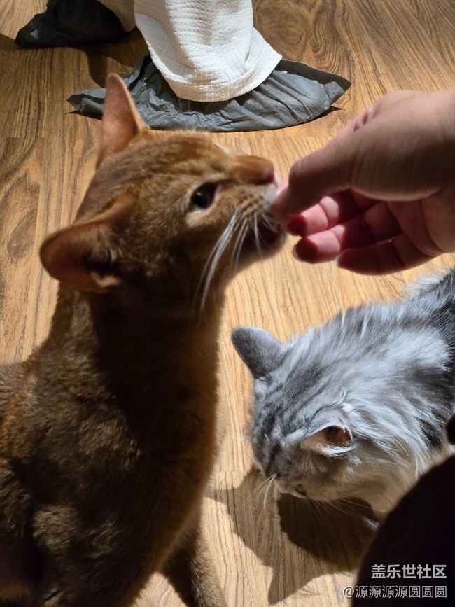 【三星真好拍】武汉星部落四月摄影活动总结帖