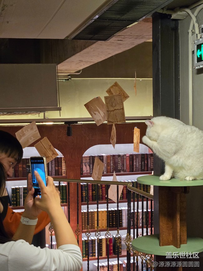 【三星真好拍】武汉星部落四月摄影活动总结帖