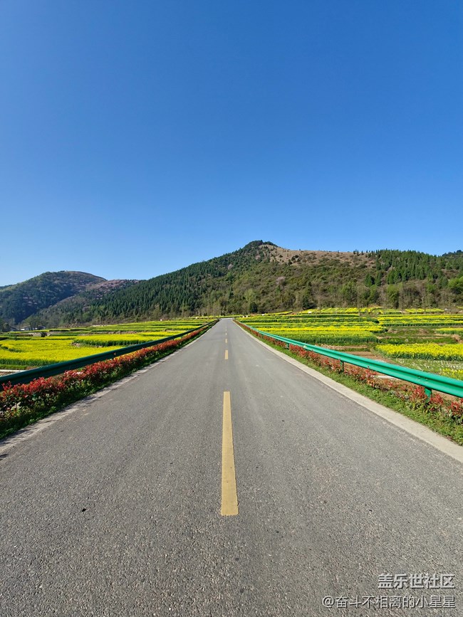 汉中星部落第二期【菜花香】线上摄影活动