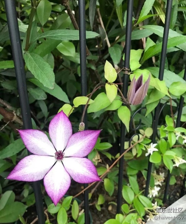 【春日影像诗】阳光明媚