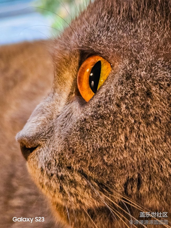 【三星真好拍】武汉星部落四月摄影活动总结帖