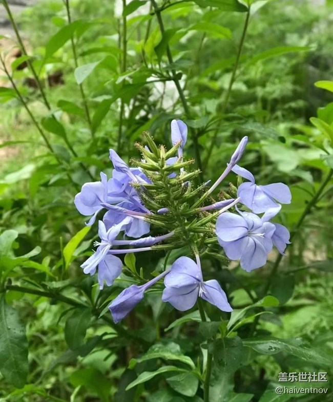 【春日影像诗】阳光明媚