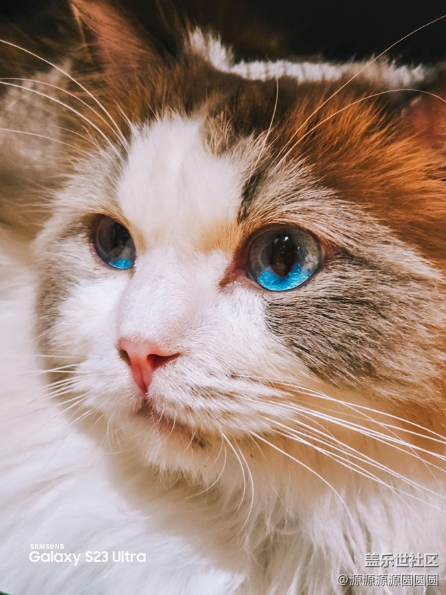 【三星真好拍】武汉星部落四月摄影活动总结帖