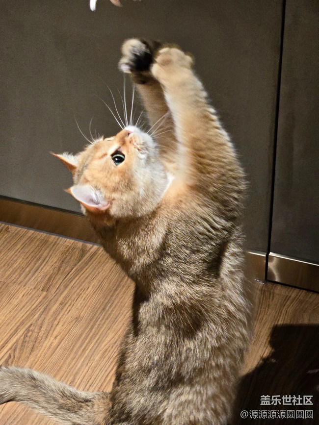 【三星真好拍】武汉星部落四月摄影活动总结帖