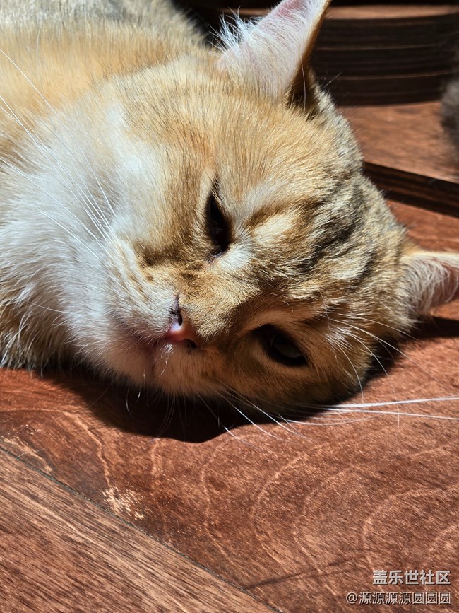 【三星真好拍】武汉星部落四月摄影活动总结帖