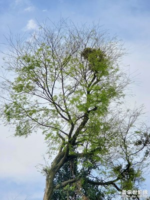 【追光塑影】+ 悠闲时光