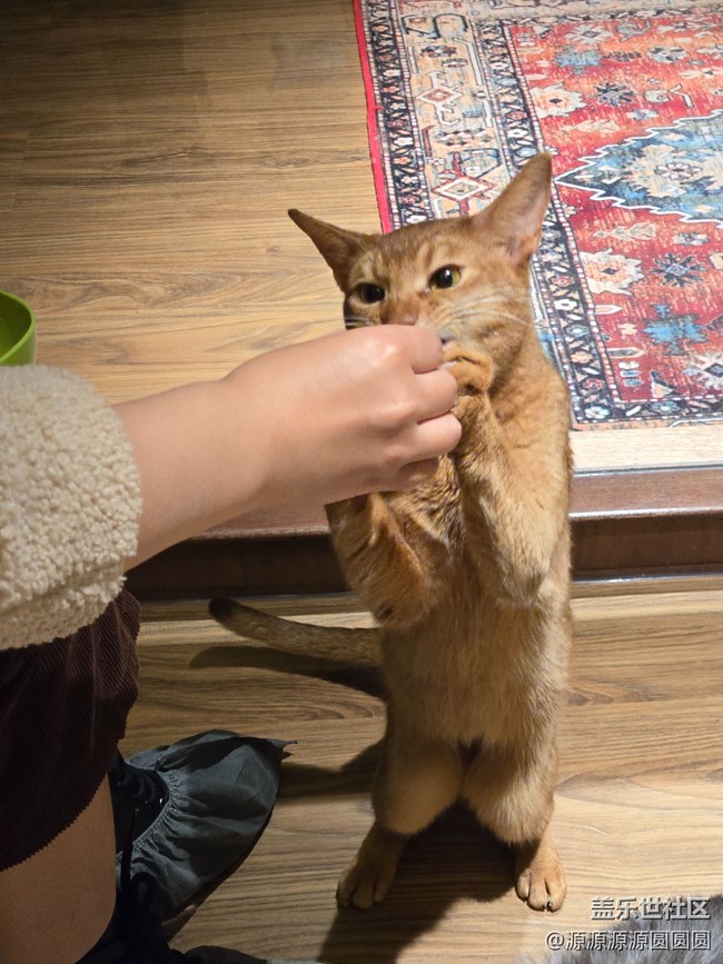 【三星真好拍】武汉星部落四月摄影活动总结帖