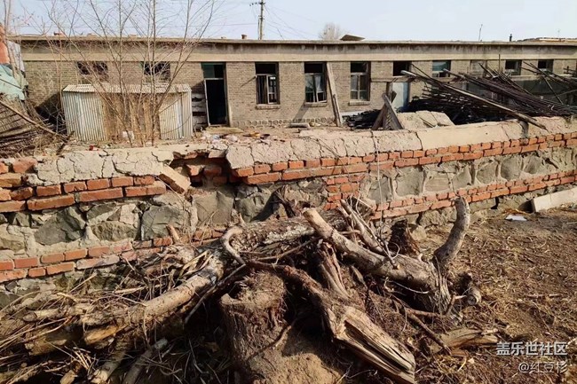 【春满人间】+ 家乡还没到春天