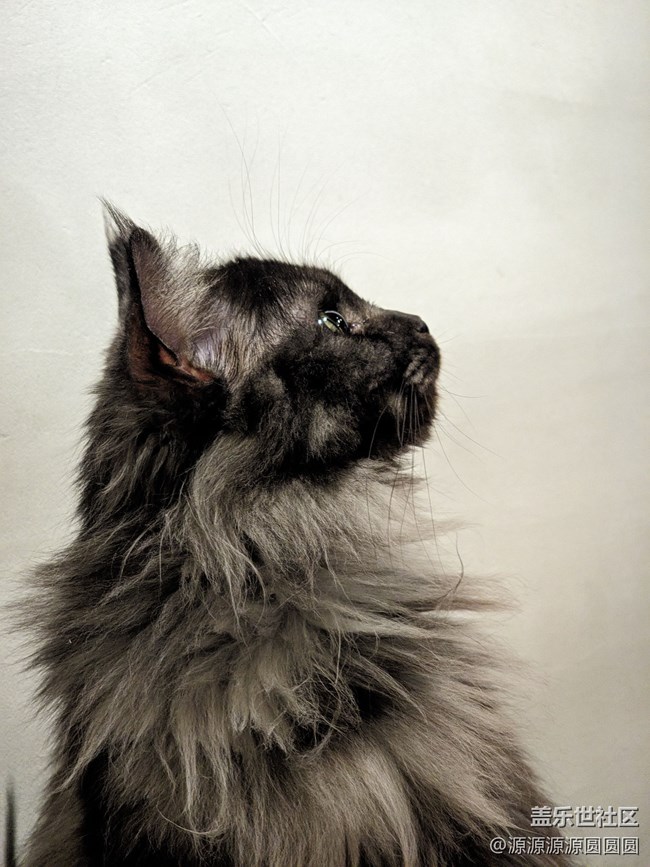 【三星真好拍】武汉星部落四月摄影活动总结帖