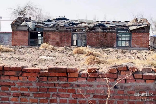 【春满人间】+ 家乡还没到春天