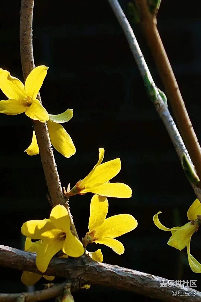 【留白】留个黑