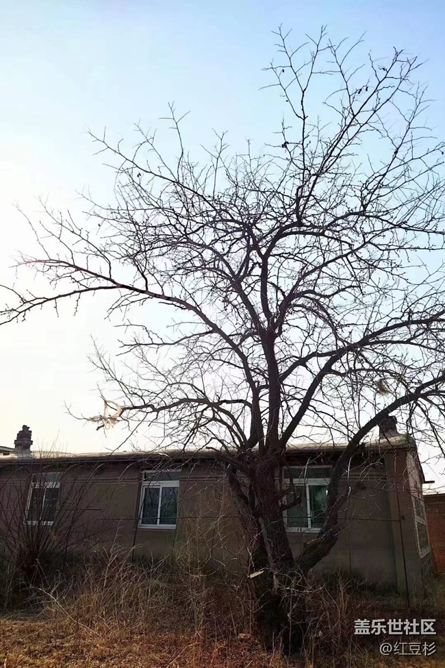 【春满人间】+ 家乡还没到春天