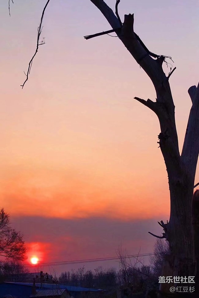 【春满人间】+ 春天的夕阳