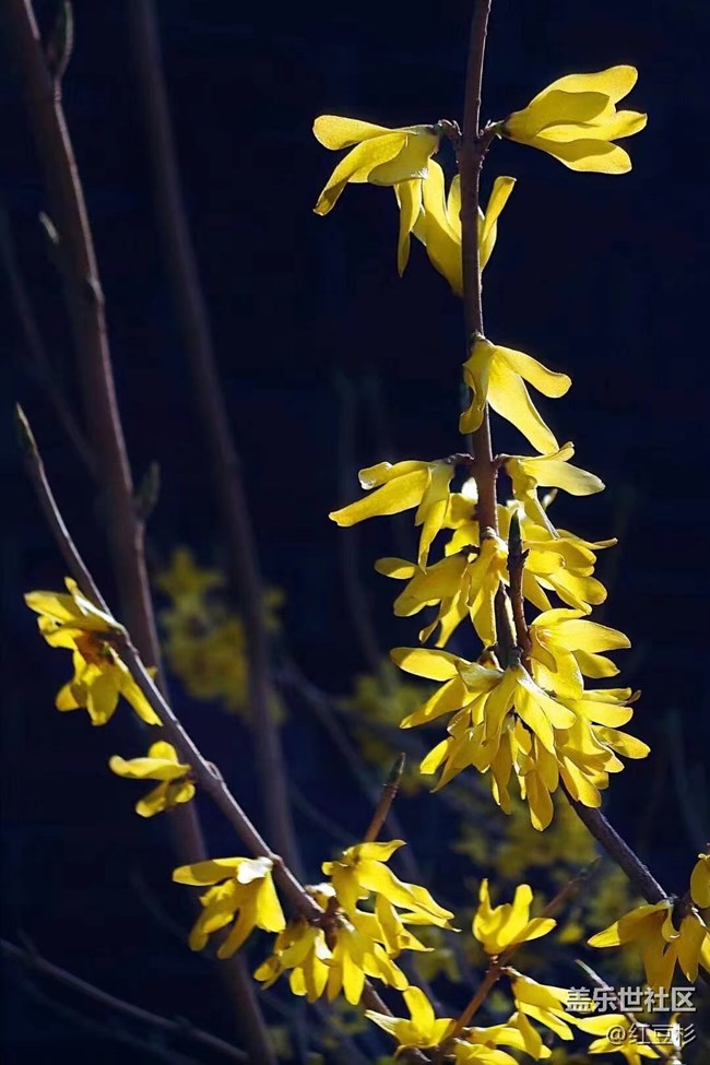 【留白】留个黑