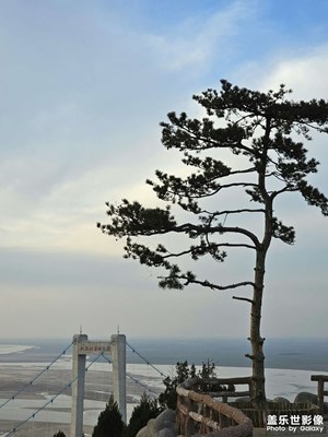 桃花峪黄河大桥