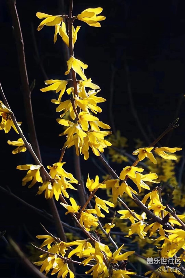 【留白】留个黑