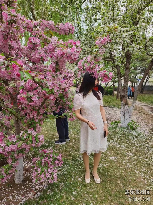【海棠花溪】赏花踏青好时节