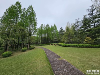 【醉春山】春日游园