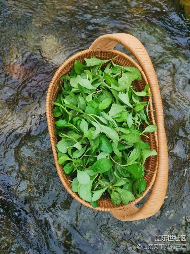 【寻找春天的味道】最好的春味在乡下