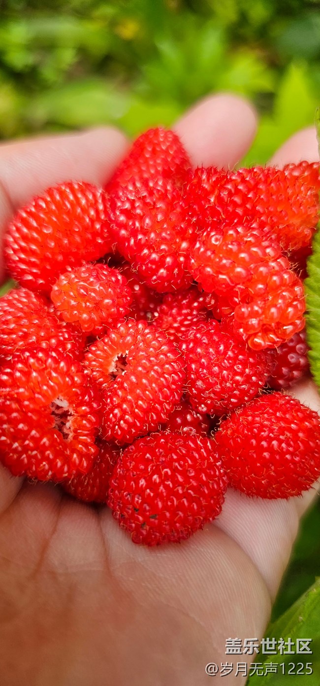 踏春