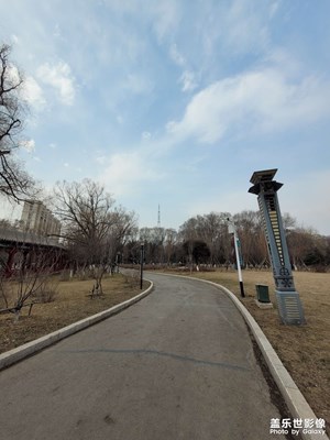 【醉春山】+公园随拍