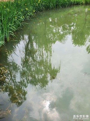【镜头内外】水云间