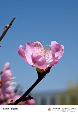 【生活的写意】+ 晚春