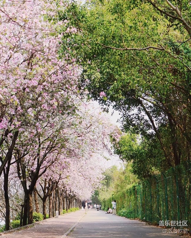 【寻找春天的味道】春天的美景