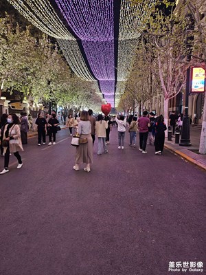 【生活的写意】+小逛天津民园海棠花节