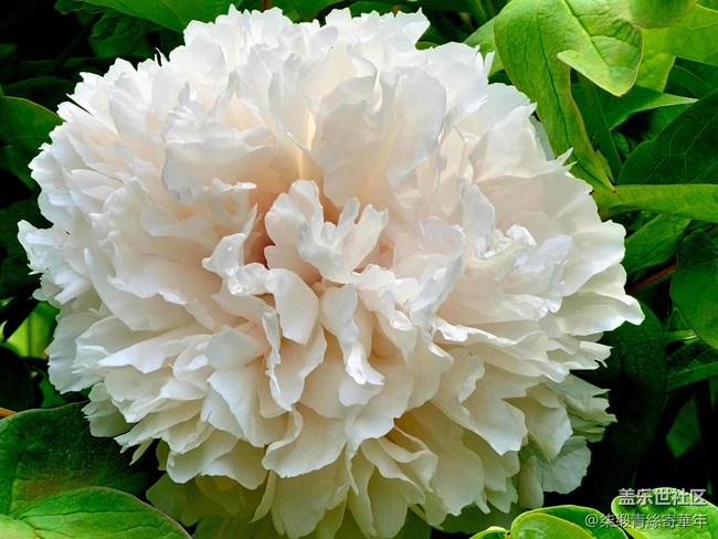 【开奖】郑州星部落四月线上摄影活动