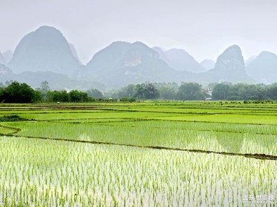 【生活的写意】山水田园（2）