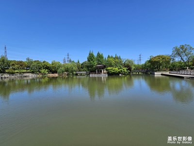春风又绿江南岸