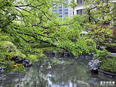 【生活的写意】淅沥小雨，园中漫步