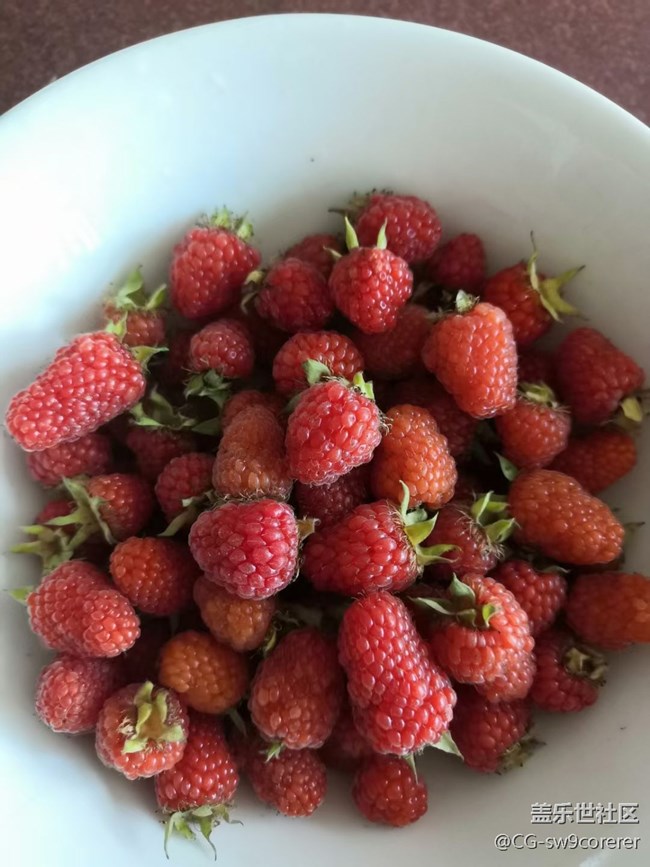 【食事】野草莓