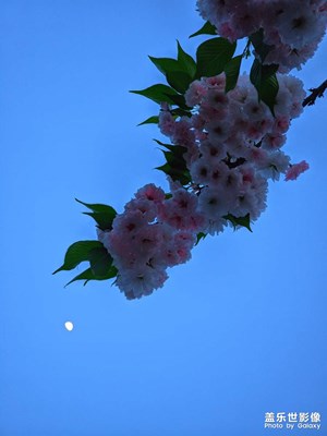【三星手机的夜景】花月夜