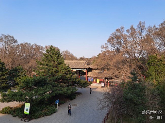 【春满人间】绿意