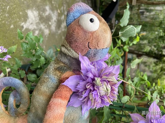 【春天就是运动的时候】征名