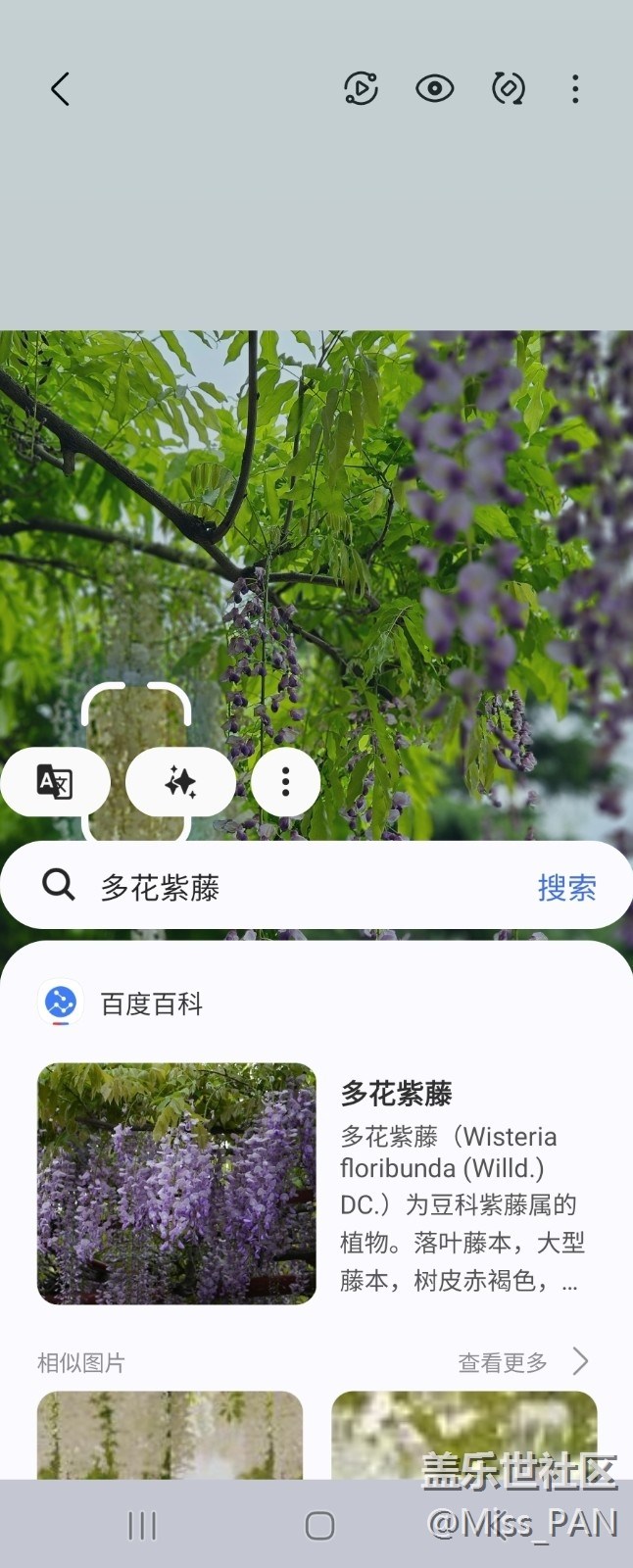【AI体验】+圈一圈