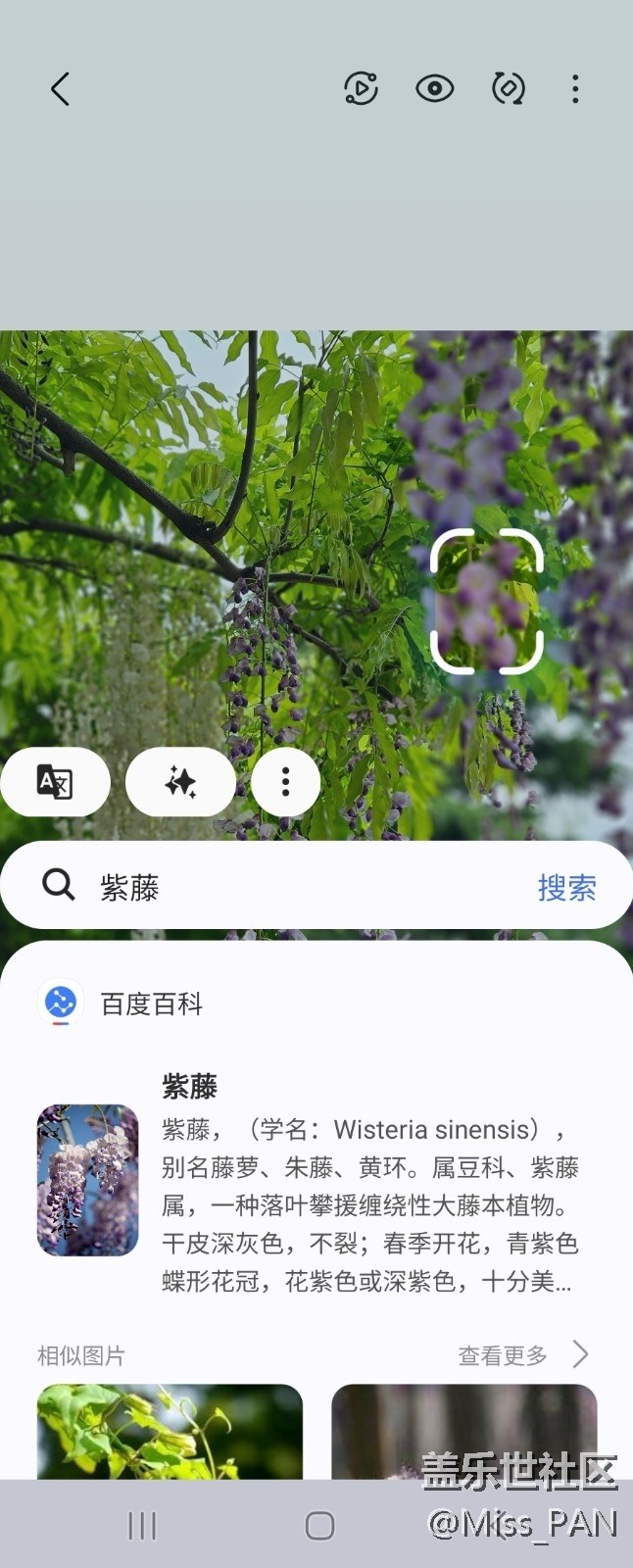 【AI体验】+圈一圈