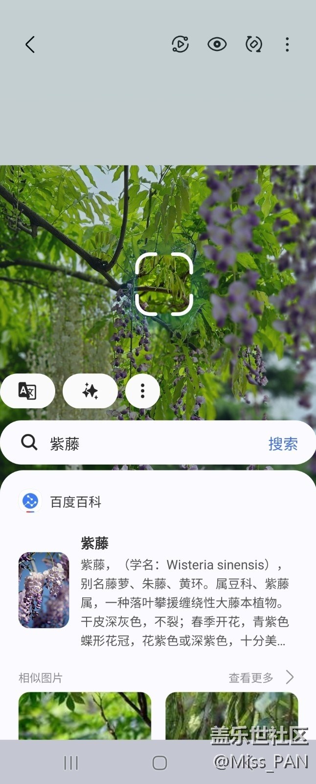 【AI体验】+圈一圈