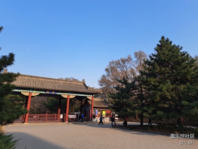 【春满人间】绿意