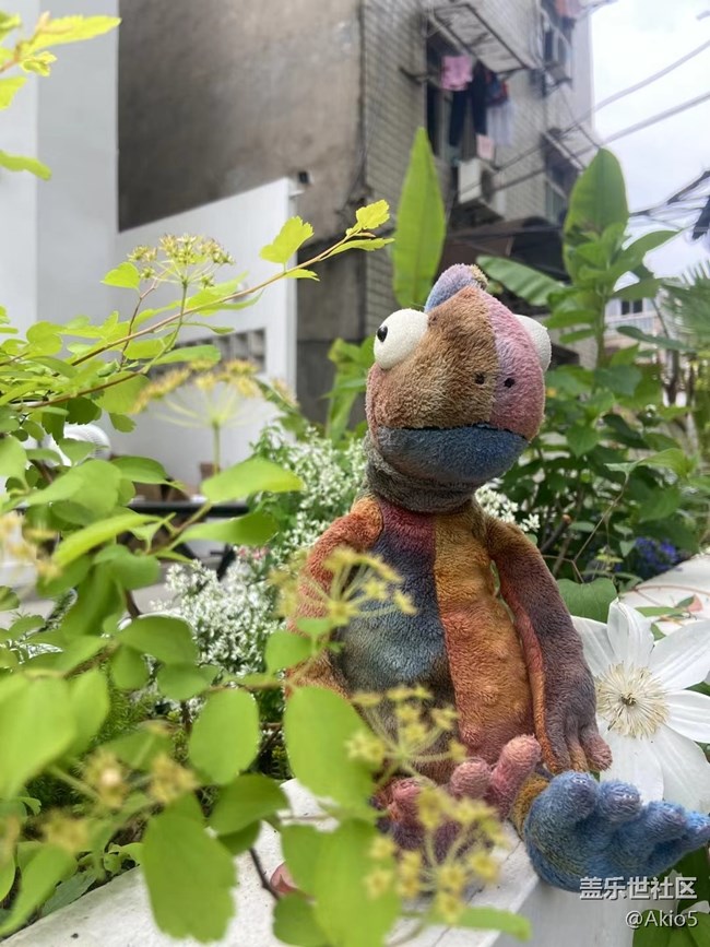 【春天就是运动的时候】征名