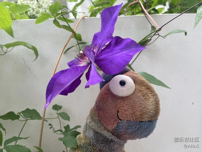 【春天就是运动的时候】征名