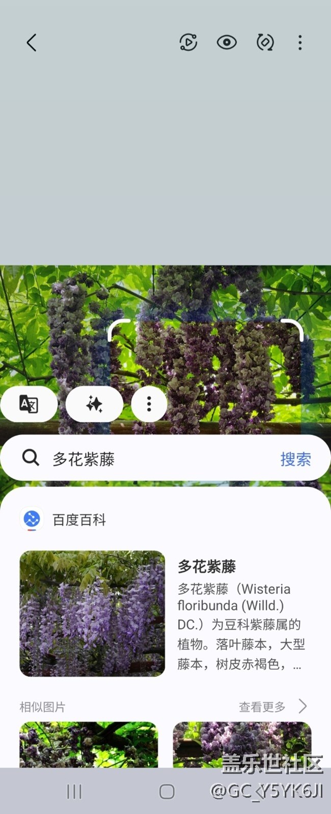 【AI体验】+即圈即搜