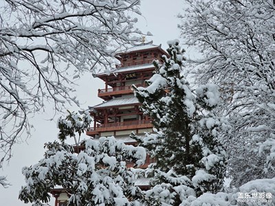 【生活的写意】+那年的雪