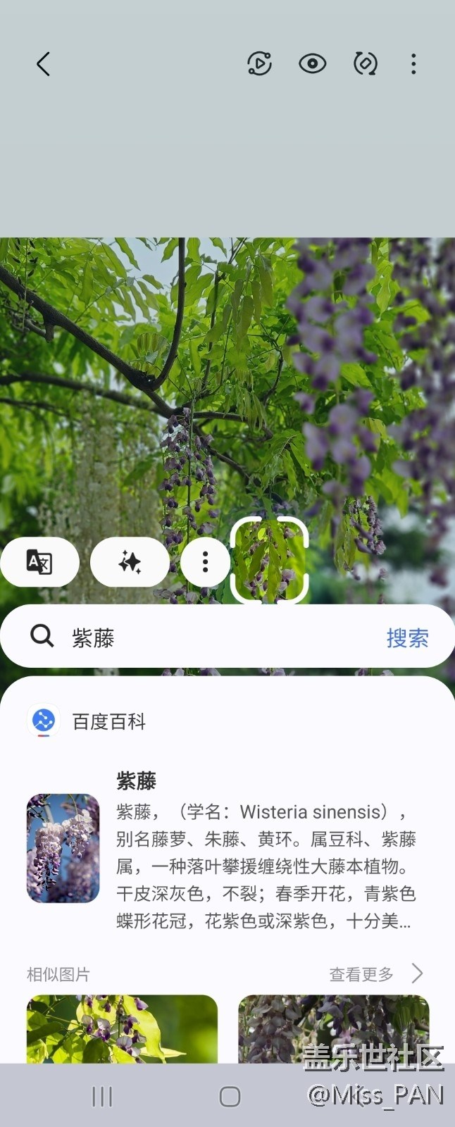 【AI体验】+圈一圈